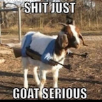 FaZe_Sarker's Avatar'