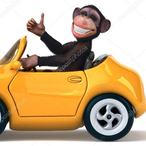 CoolMonkeyCar's Avatar'