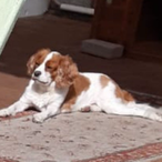 Bilosophical's Avatar'