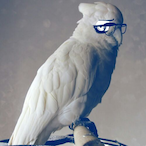 BabbyBee's Avatar'