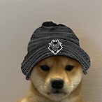 SndN_Timon's Avatar'
