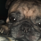 BigBucket.'s Avatar'