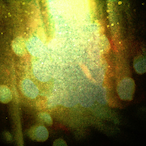 Mergim16_'s Avatar'