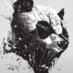 PANG___'s Avatar'