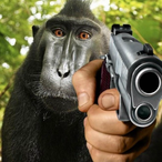 TuCompaMrMenis's Avatar'