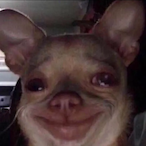 DWARF_OFNORFOLK's Avatar'