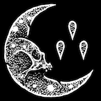 Itsilly's Avatar'