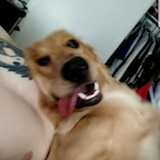 PyroMonkey911's Avatar'