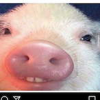 mooMilk_YUM's Avatar'
