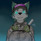 DSE.I_Senpai_I's Avatar'