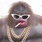 Gregooor_'s Avatar'