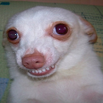SSGTwins's Avatar'