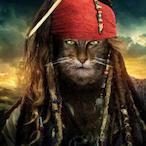 Catn_Catimeow's Avatar'