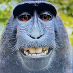 Bigdustybawls_'s Avatar'