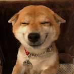 Abamzuja's Avatar'