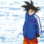 ctfwako's Avatar'