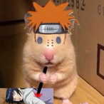 Mr.Sopaipilla's Avatar'