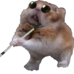 Deeshnouts's Avatar'