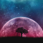 Lunarcarpet34's Avatar'