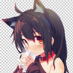 anime.catgirl's Avatar'