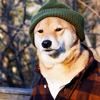Fuzkie's Avatar'