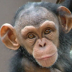 karl_hobbit's Avatar'