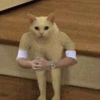 SpicyBread.dn's Avatar'