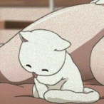 KillerKitten_SKZ's Avatar'