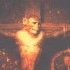AngryMonke49's Avatar'