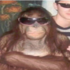 bumberclaart's Avatar'