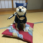 doge776.-'s Avatar'