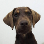 MINY_ON_ALT's Avatar'