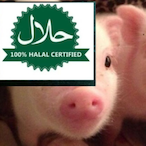 Halal.Babi's Avatar'