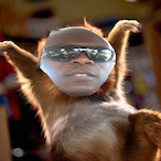 Timnit_Peakit's Avatar'