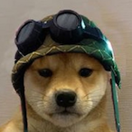 Rowdoge's Avatar'