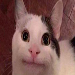 ImlovinIt_420's Avatar'