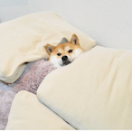 Sleepy_dog_'s Avatar'
