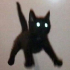 K31_'s Avatar'