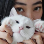 KunohIsBack's Avatar'