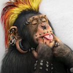 daddymunkie2020's Avatar'