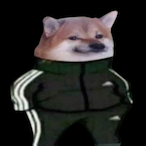 Pinecone_2's Avatar'