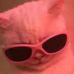 Coconina-'s Avatar'