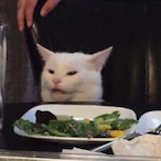 PIDDU-PINGU's Avatar'