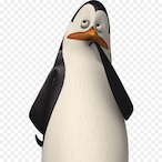 Kowalsskii's Avatar'