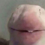 memezy123's Avatar'