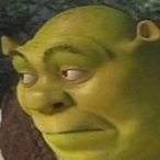 vikapiechottka's Avatar'
