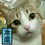 AyyOvO's Avatar'