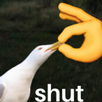 TheParrotWizard's Avatar'