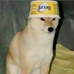 ESL.DOGGO.TSM's Avatar'