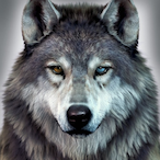 M1THYCS.'s Avatar'